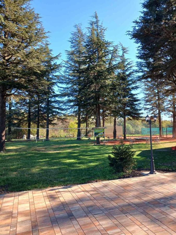 Roomsapartments Popcourt Pančevo Zewnętrze zdjęcie